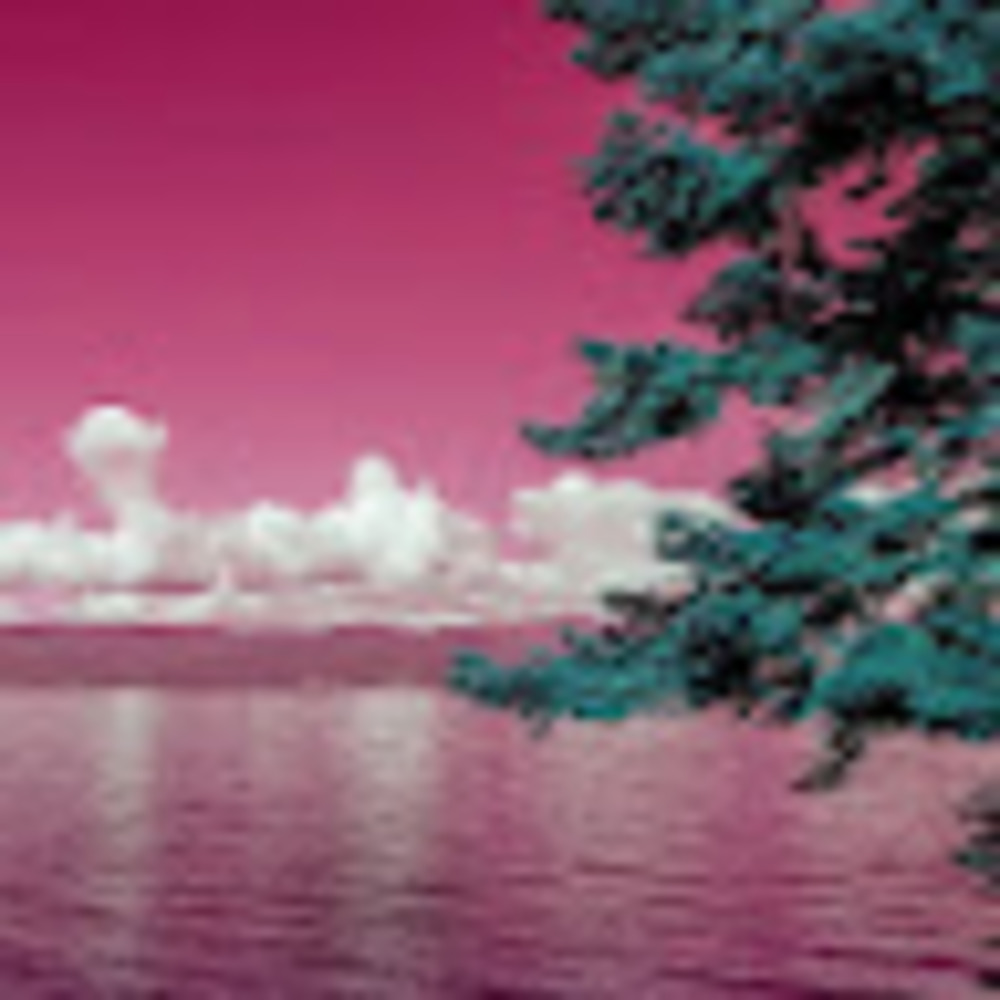 Meet your Posher, Jerzi